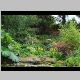 Threave Garden 3.JPG